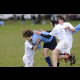 image 37 of 65